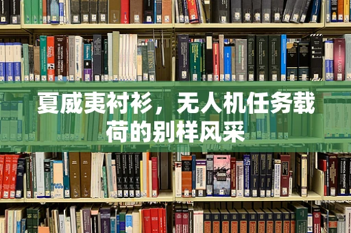 夏威夷衬衫，无人机任务载荷的别样风采