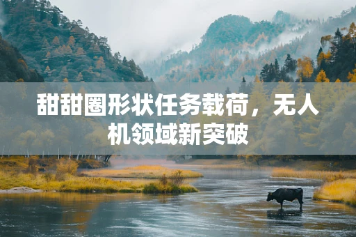 甜甜圈形状任务载荷，无人机领域新突破