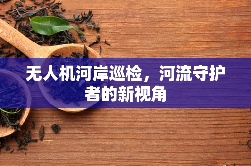 无人机河岸巡检，河流守护者的新视角
