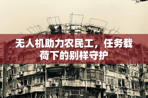 无人机助力农民工，任务载荷下的别样守护