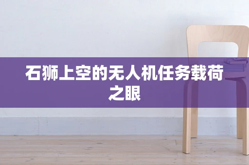 石狮上空的无人机任务载荷之眼