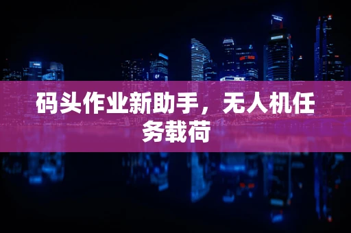 码头作业新助手，无人机任务载荷