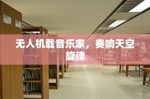 无人机载音乐家，奏响天空旋律
