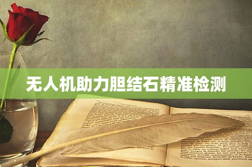 无人机助力胆结石精准检测