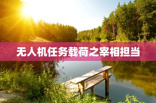 无人机任务载荷之宰相担当