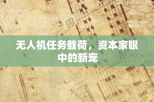 无人机任务载荷，资本家眼中的新宠