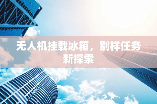 无人机挂载冰箱，别样任务新探索