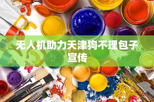 无人机助力天津狗不理包子宣传