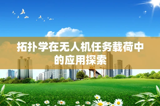 拓扑学在无人机任务载荷中的应用探索