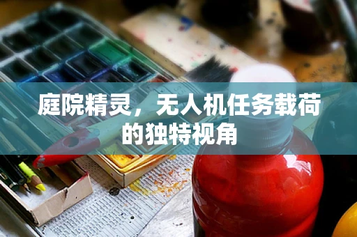 庭院精灵，无人机任务载荷的独特视角
