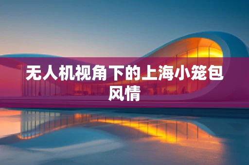 无人机视角下的上海小笼包风情