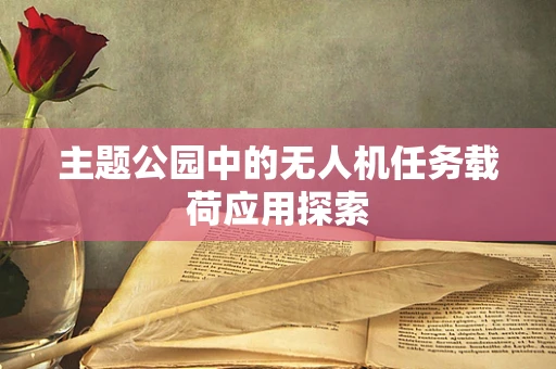 主题公园中的无人机任务载荷应用探索