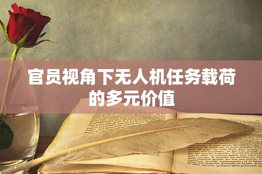 官员视角下无人机任务载荷的多元价值