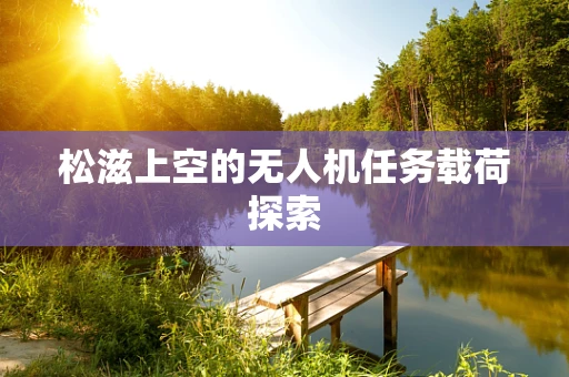 松滋上空的无人机任务载荷探索