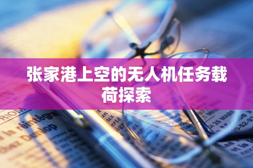 张家港上空的无人机任务载荷探索