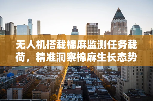 无人机搭载棉麻监测任务载荷，精准洞察棉麻生长态势