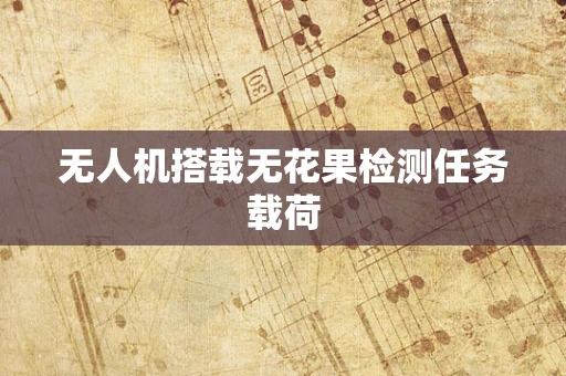 无人机搭载无花果检测任务载荷