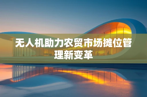 无人机助力农贸市场摊位管理新变革