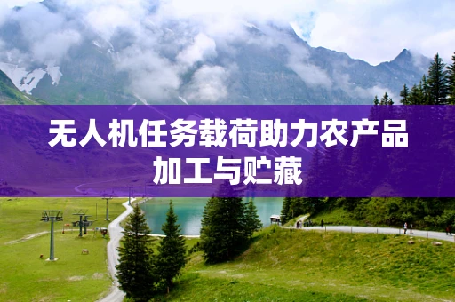 无人机任务载荷助力农产品加工与贮藏