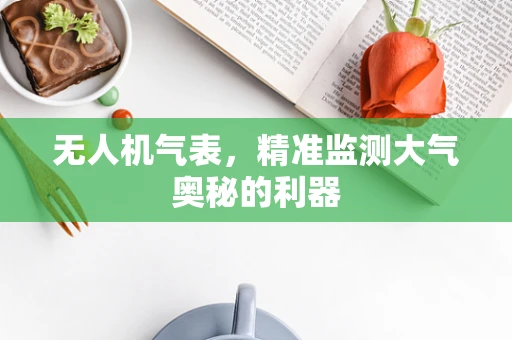 无人机气表，精准监测大气奥秘的利器