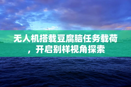 无人机搭载豆腐脑任务载荷，开启别样视角探索