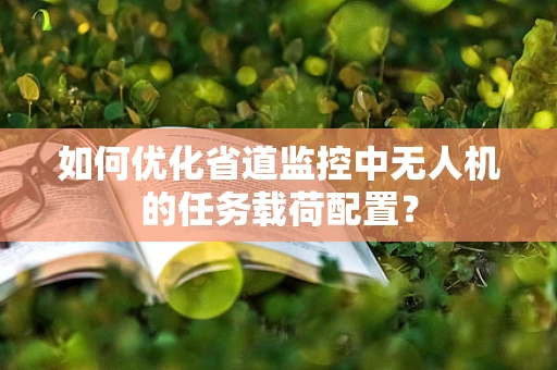 如何优化省道监控中无人机的任务载荷配置？