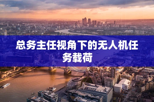 总务主任视角下的无人机任务载荷