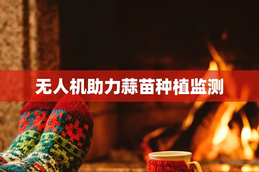 无人机助力蒜苗种植监测