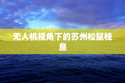 无人机视角下的苏州松鼠桂鱼