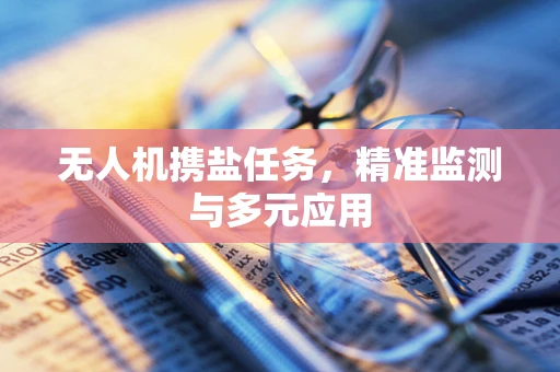 无人机携盐任务，精准监测与多元应用