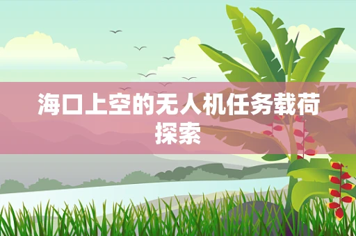 海口上空的无人机任务载荷探索