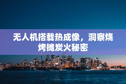 无人机搭载热成像，洞察烧烤摊炭火秘密