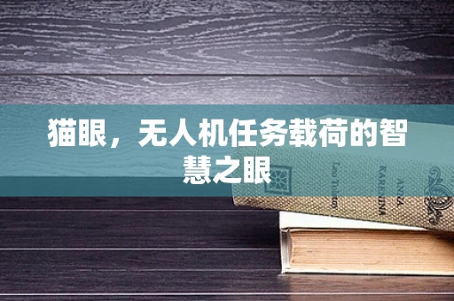 猫眼，无人机任务载荷的智慧之眼