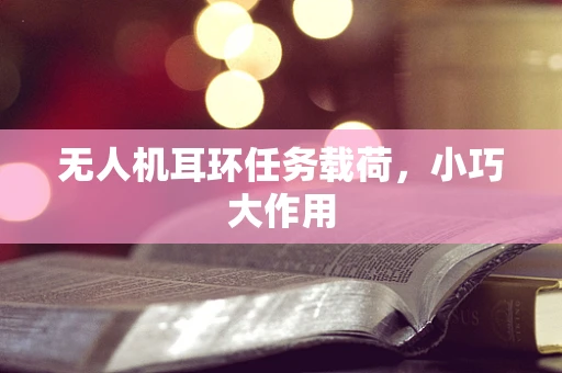 无人机耳环任务载荷，小巧大作用