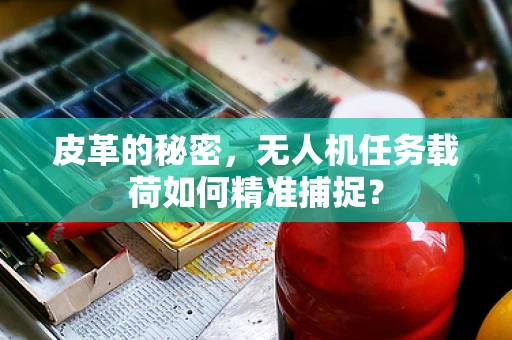 皮革的秘密，无人机任务载荷如何精准捕捉？