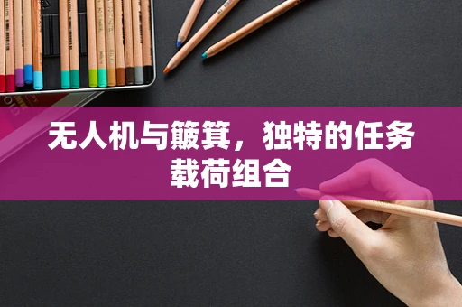 无人机与簸箕，独特的任务载荷组合