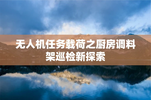 无人机任务载荷之厨房调料架巡检新探索
