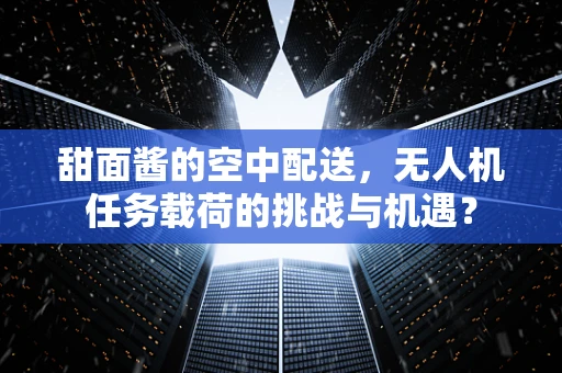 甜面酱的空中配送，无人机任务载荷的挑战与机遇？