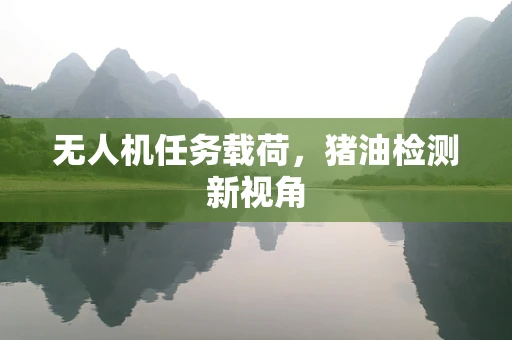 无人机任务载荷，猪油检测新视角
