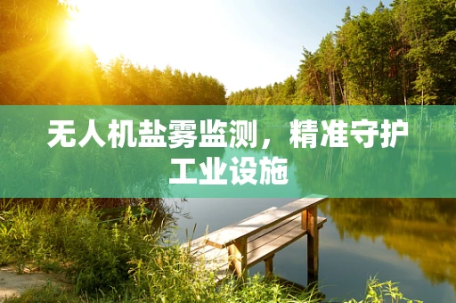 无人机盐雾监测，精准守护工业设施