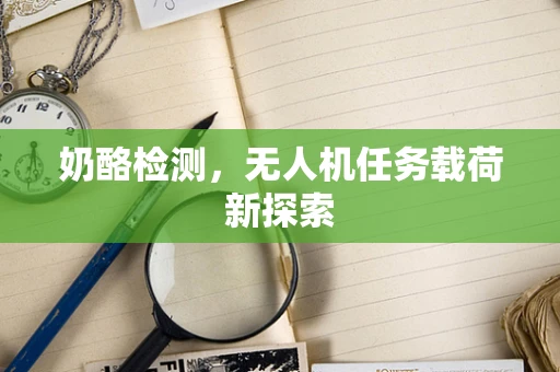 奶酪检测，无人机任务载荷新探索