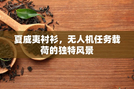 夏威夷衬衫，无人机任务载荷的独特风景