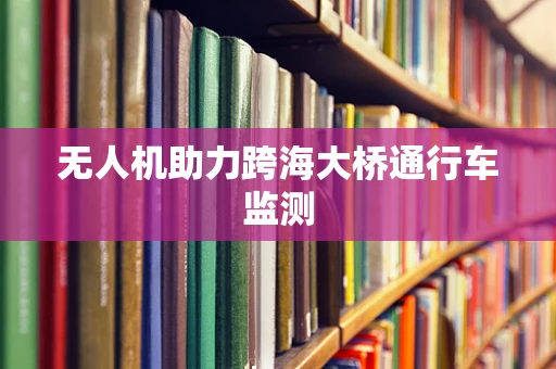 无人机助力跨海大桥通行车监测