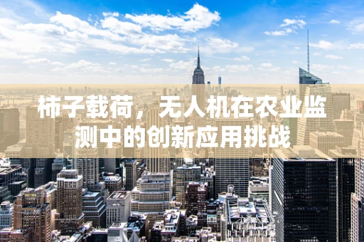 柿子载荷，无人机在农业监测中的创新应用挑战