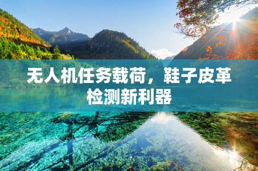 无人机任务载荷，鞋子皮革检测新利器
