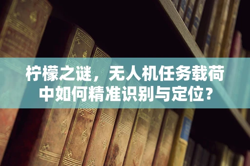 柠檬之谜，无人机任务载荷中如何精准识别与定位？