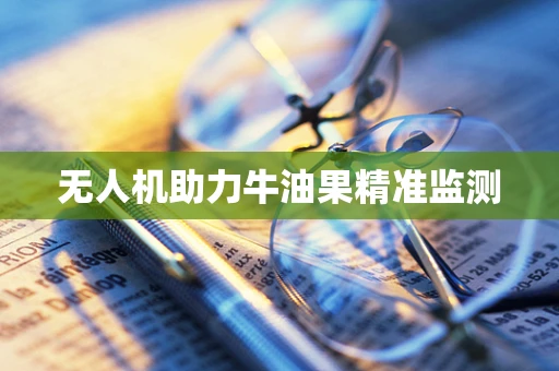 无人机助力牛油果精准监测