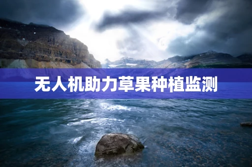 无人机助力草果种植监测