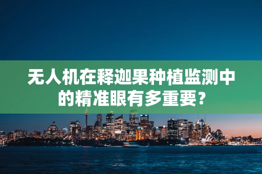 无人机在释迦果种植监测中的精准眼有多重要？