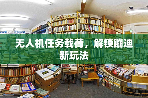 无人机任务载荷，解锁蹦迪新玩法